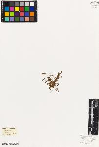SW_BNB_s3010-06119_IMG-0000000001
