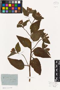 SW_BNB_s3010-06122_IMG-0000000001