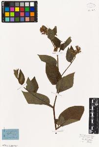 SW_BNB_s3010-06124_IMG-0000000001