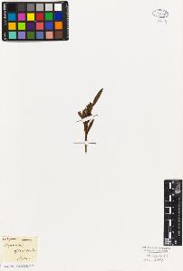 SW_BNB_s3010-06130_IMG-0000000001