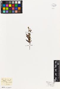 SW_BNB_s3010-06131_IMG-0000000001