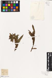SW_BNB_s3010-06132_IMG-0000000001