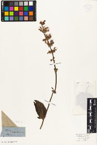 SW_BNB_s3010-06133_IMG-0000000001