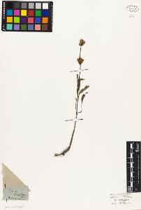 SW_BNB_s3010-06139_IMG-0000000001