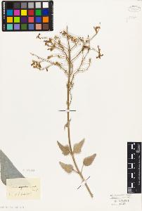 SW_BNB_s3010-06141_IMG-0000000001