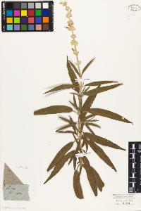 SW_BNB_s3010-06144_IMG-0000000001