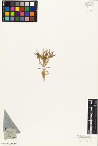 SW_BNB_s3010-06147_IMG-0000000001
