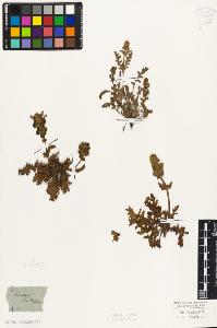 SW_BNB_s3010-06150_IMG-0000000001