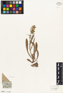 SW_BNB_s3010-06156_IMG-0000000001