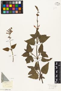 SW_BNB_s3010-06157_IMG-0000000001