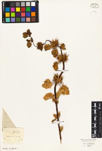SW_BNB_s3010-06161_IMG-0000000001