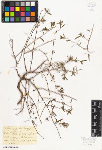 SW_BNB_s3010-06167_IMG-0000000001