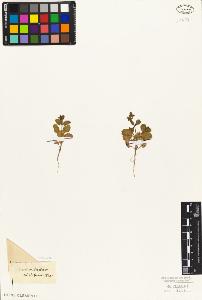 SW_BNB_s3010-06173_IMG-0000000001