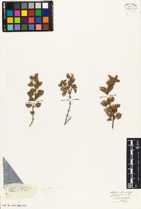 SW_BNB_s3010-06175_IMG-0000000001