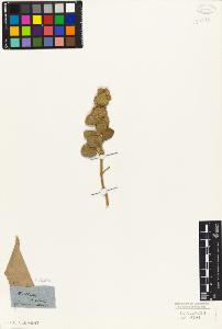 SW_BNB_s3010-06178_IMG-0000000001