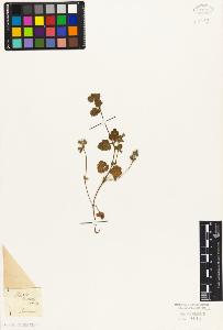 SW_BNB_s3010-06179_IMG-0000000001