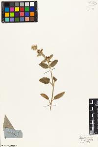 SW_BNB_s3010-06181_IMG-0000000001