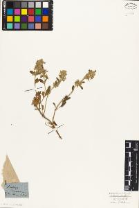 SW_BNB_s3010-06184_IMG-0000000001