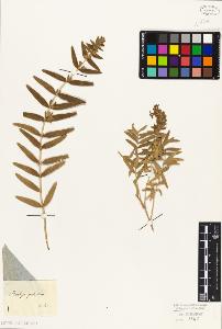 SW_BNB_s3010-06185_IMG-0000000001