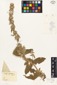 SW_BNB_s3010-06186_IMG-0000000001