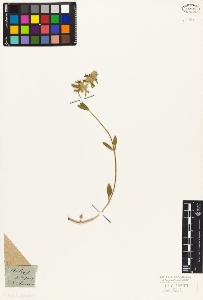 SW_BNB_s3010-06187_IMG-0000000001