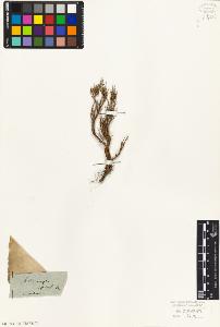 SW_BNB_s3010-06188_IMG-0000000001