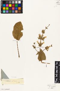 SW_BNB_s3010-06191_IMG-0000000001