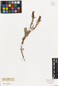 SW_BNB_s3010-06195_IMG-0000000001