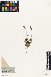 SW_BNB_s3010-06196_IMG-0000000001