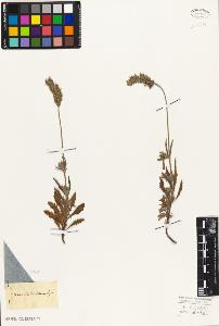 SW_BNB_s3010-06197_IMG-0000000001