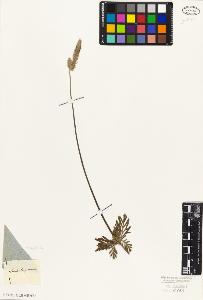 SW_BNB_s3010-06199_IMG-0000000001