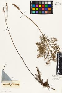 SW_BNB_s3010-06200_IMG-0000000001