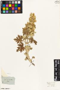 SW_BNB_s3010-06201_IMG-0000000001