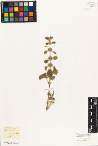 SW_BNB_s3010-06207_IMG-0000000001