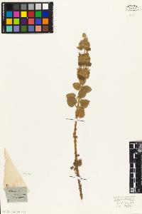 SW_BNB_s3010-06210_IMG-0000000001