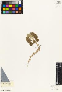 SW_BNB_s3010-06213_IMG-0000000001