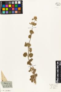 SW_BNB_s3010-06216_IMG-0000000001