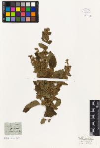 SW_BNB_s3010-06220_IMG-0000000001