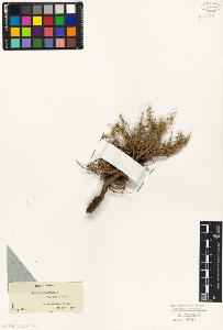 SW_BNB_s3010-06221_IMG-0000000001