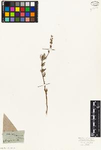 SW_BNB_s3010-06222_IMG-0000000001