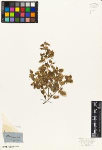 SW_BNB_s3010-06225_IMG-0000000001
