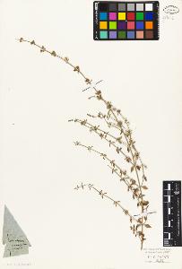 SW_BNB_s3010-06227_IMG-0000000001