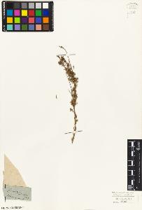 SW_BNB_s3010-06234_IMG-0000000001