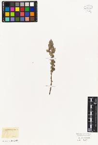 SW_BNB_s3010-06240_IMG-0000000001