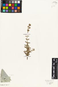 SW_BNB_s3010-06243_IMG-0000000001
