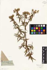 SW_BNB_s3010-06246_IMG-0000000001