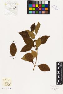 SW_BNB_s3010-06261_IMG-0000000001