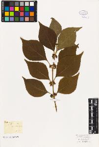 SW_BNB_s3010-06263_IMG-0000000001