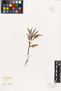 SW_BNB_s3010-06283_IMG-0000000001