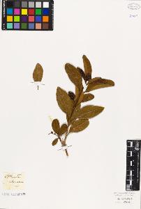 SW_BNB_s3010-06298_IMG-0000000001